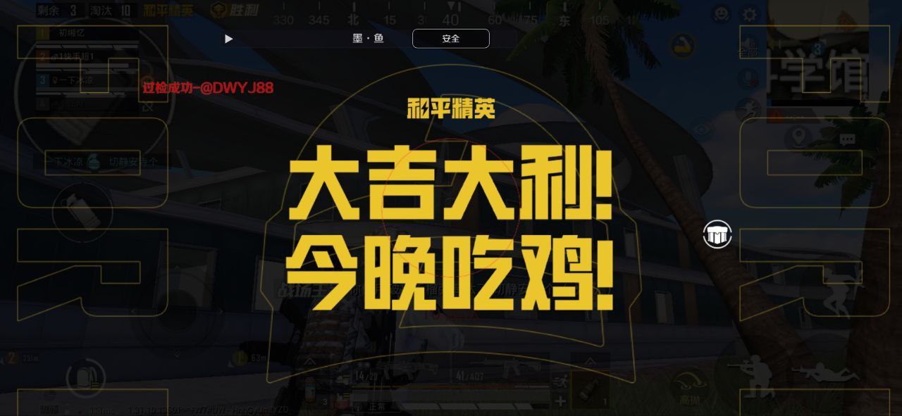 和平精英【EAD内部】辅助